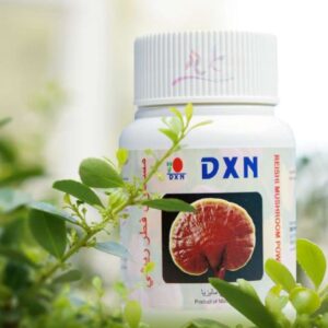 مسحوق الفطر الريشي